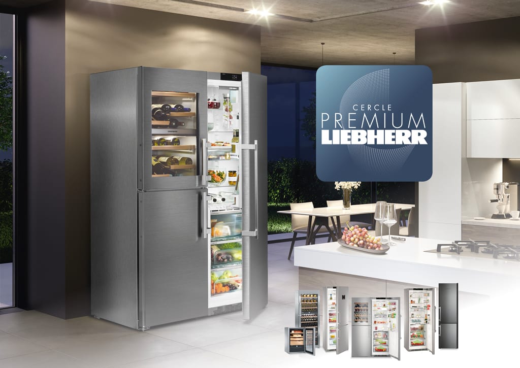 FRIGO AMERIACAIN AVEC CAVE A VIN PREMIUM